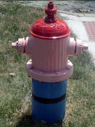 Mario- Plymouth and Harvard (2)